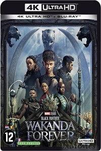 Black Panther Wakanda Forever (2022) Hindi Dubbed Movie