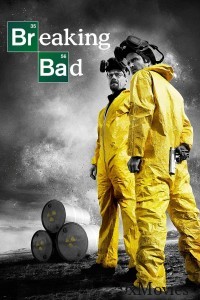 Breaking Bad (2009) Season 2 Hindi Dubbed Series