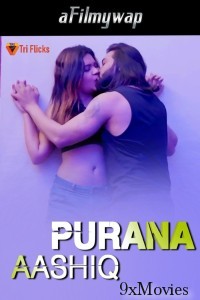 Purana Aashiq (2024) Triflicks Hindi Hot Short Film