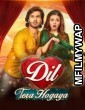 Dil Tera Hogaya (2020) Urdu Full Movie