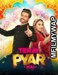 Teray Pyar Mai (2020) Urdu Full Movie