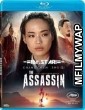 The Assassin (2015) UNCUT Hindi Dubbed Movie