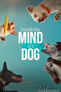 Inside The Mind of A Dog (2024) ORG Hindi Dubbed Movie